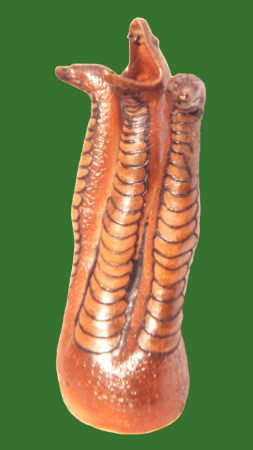 Serpent triple, art fantastique d'Emmanuel Buchet, potier sculpteur dans le Cher en Berry